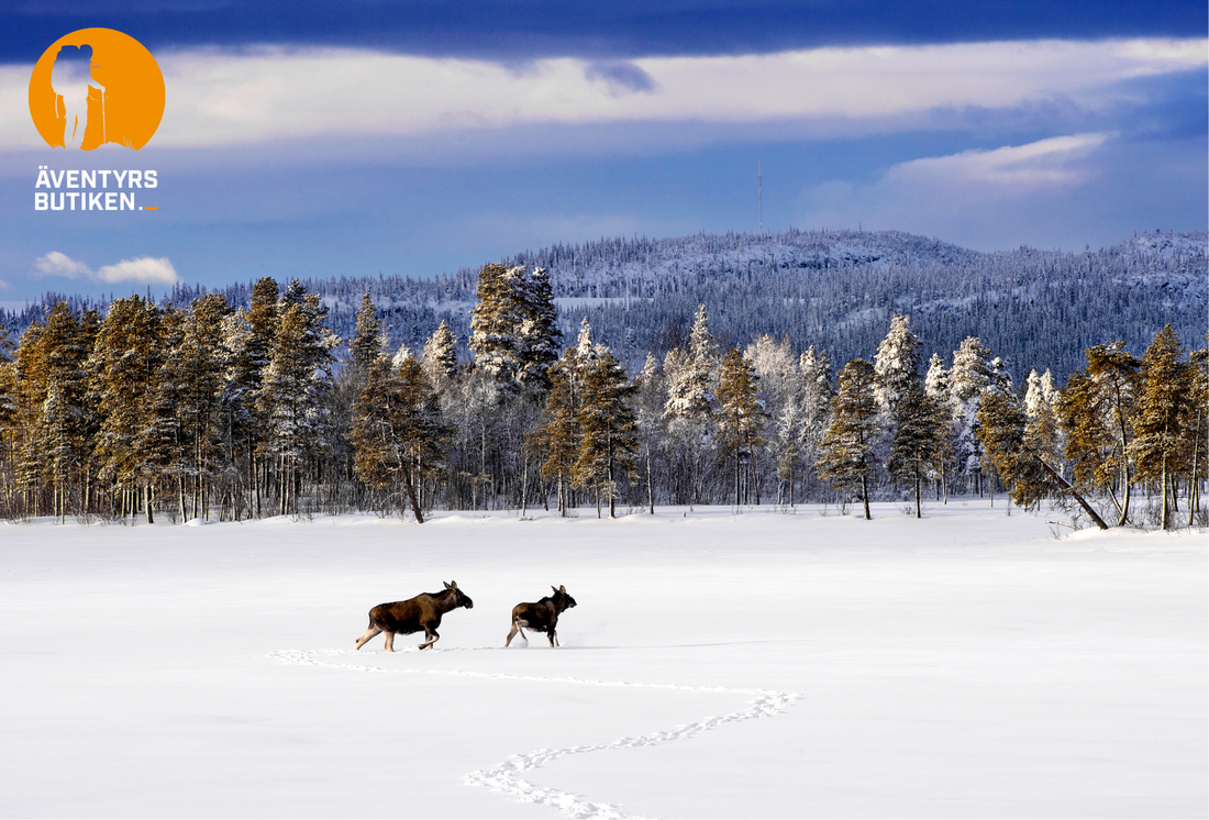 Äventyrsbutiken presentkort